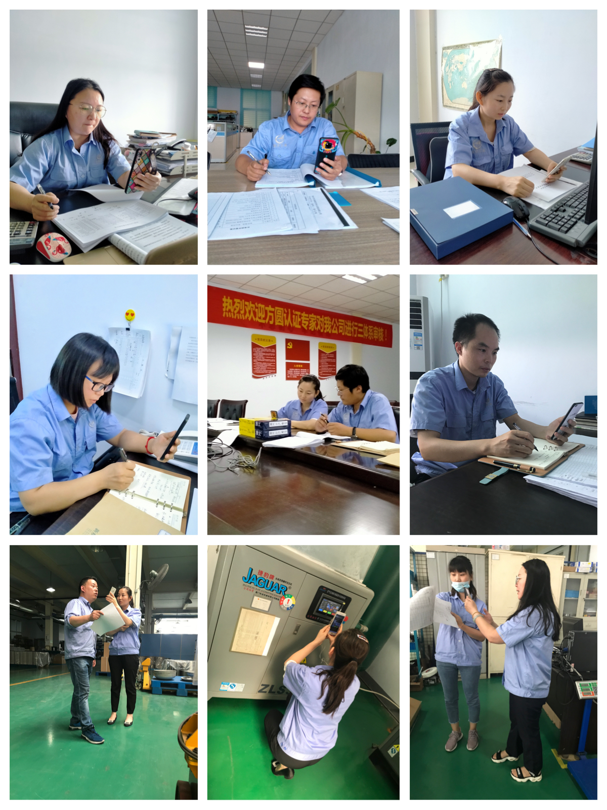 审核中.jpg